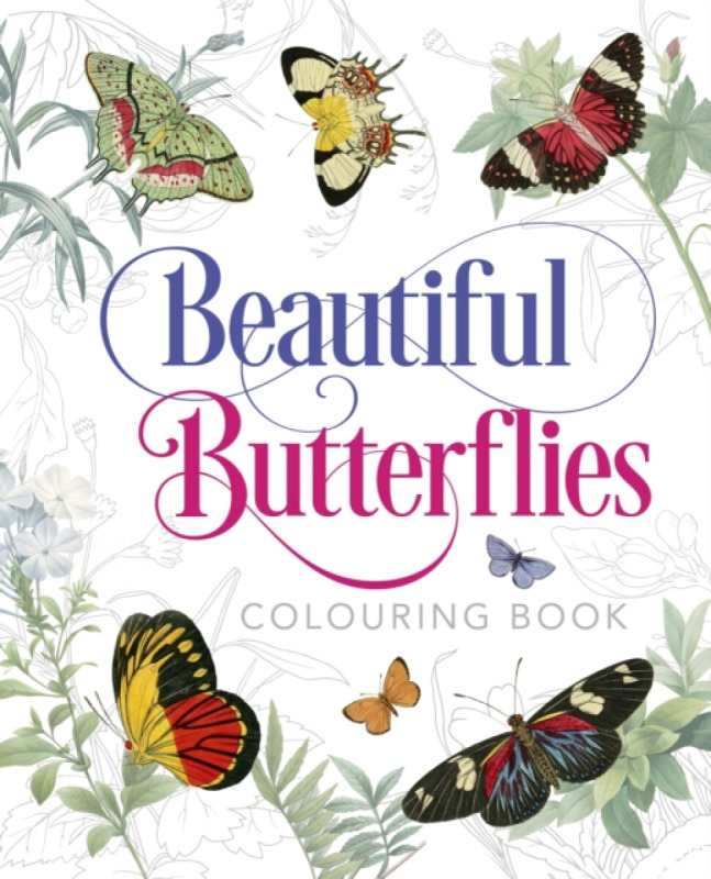 Beautiful Butterflies Colouring Book - Peter Gray
