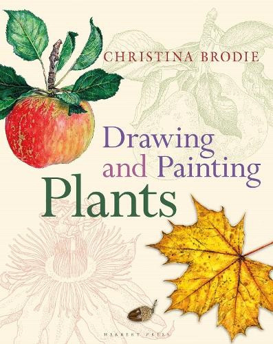 Drawing and Painting Plants Bloomsbury Publishing PLC