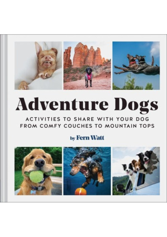 Adventure Dogs (Activities to Share With Your Dog : From Comfy Couches to Mountain Tops) - kniha z kategorie Chov zvířat