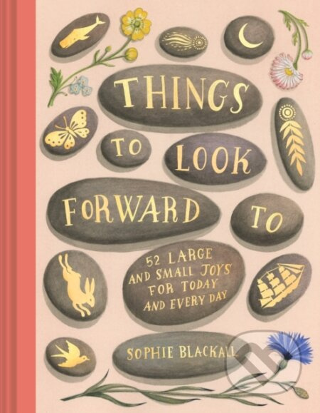 Things to Look Forward To - Sophie Blackall - kniha z kategorie Zdraví a životní styl