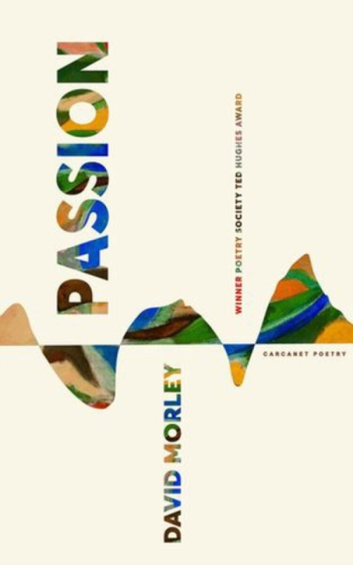 Passion - David Morley