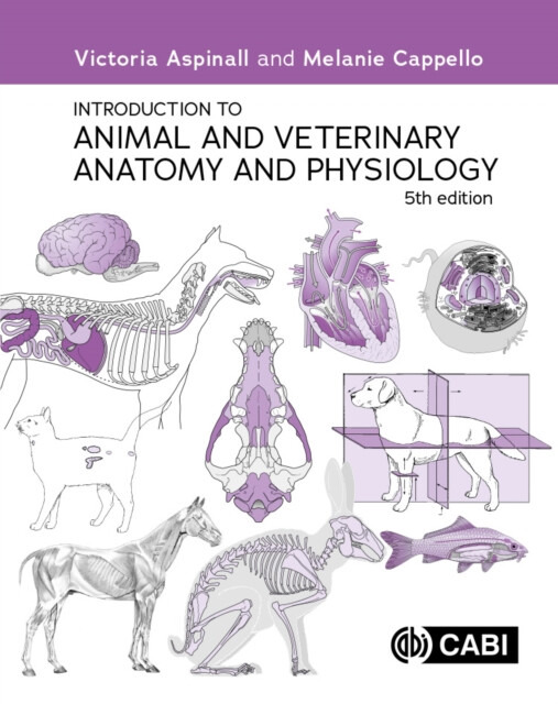 Introduction to Animal and Veterinary Anatomy and Physiology - Melanie, BSc  Zoology, PGCE, VN (Environmental Educator, Freelance Environmental Educat