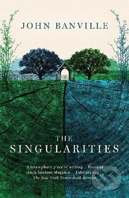 The Singularities - John Banville