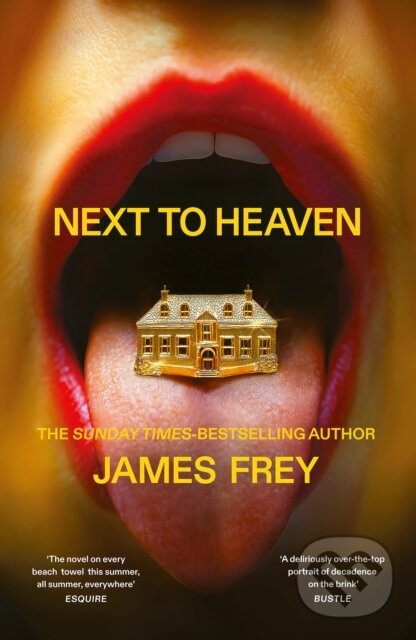 Next to Heaven (The PROVOCATIVE new novel from BESTSELLING author of A Million Little Pieces) - kniha z kategorie Thrillery