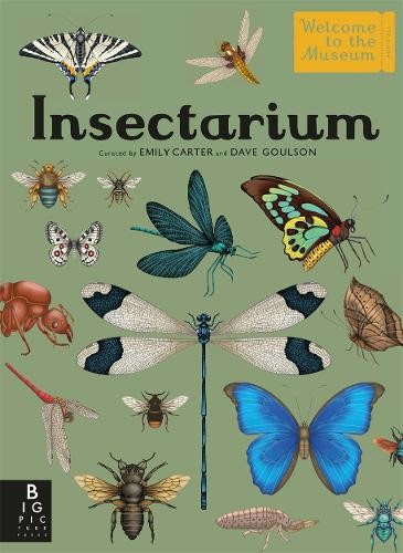 Insectarium (Welcome To The Museum) - Dave Goulson, Emily Carter (ilustrátor) - kniha z kategorie Biologie