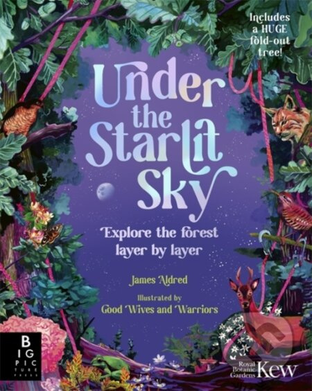 Under the Starlit Sky (Explore the Forest Layer By Layer)