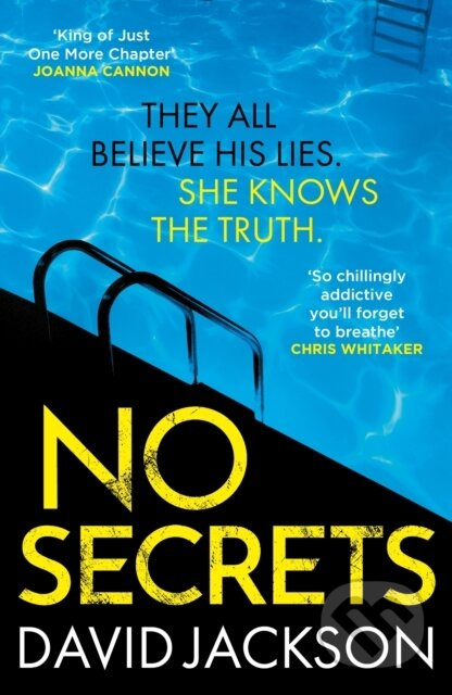 No Secrets (a totally gripping serial killer thriller from the bestselling author of Cry Baby) - kniha z kategorie Detektivky, thrillery a horory