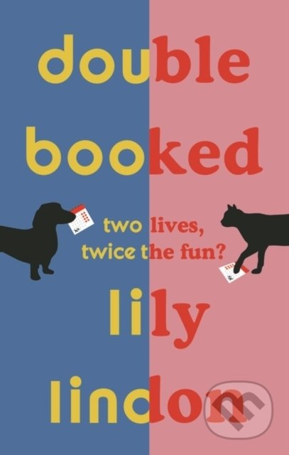 Double Booked - Lily Lindon - kniha z kategorie Společenská beletrie