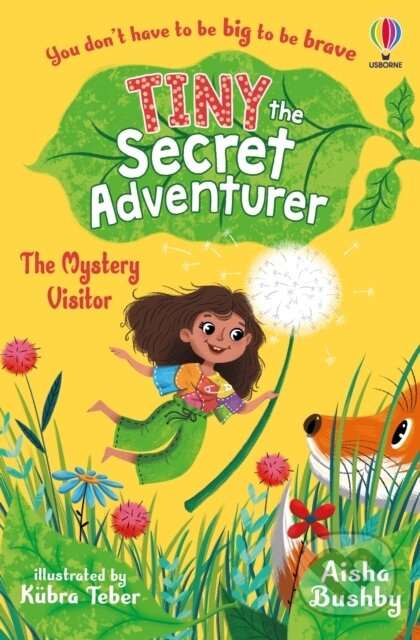 Tiny the Secret Adventurer: The Mystery Visitor Usborne Publishing