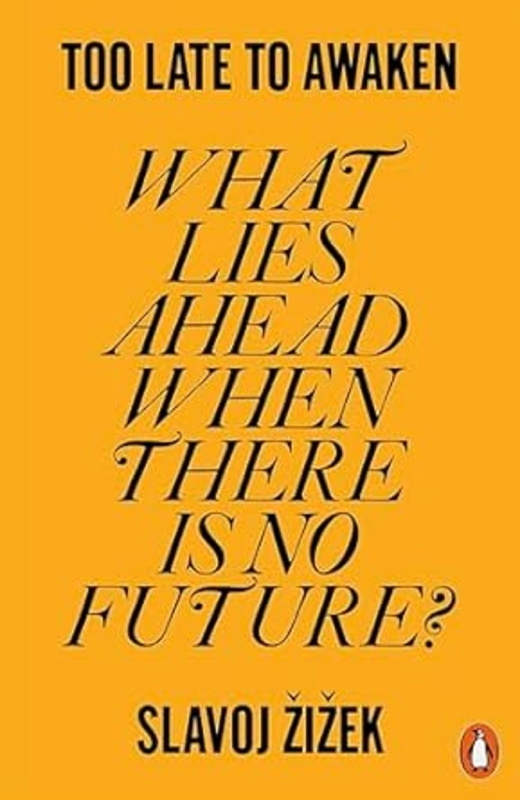 Too Late to Awaken (What Lies Ahead When There is No Future?) - kniha z kategorie Filozofie