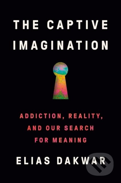 The Captive Imagination (Addiction, Reality and our Search for Meaning) - kniha z kategorie Odborné a naučné