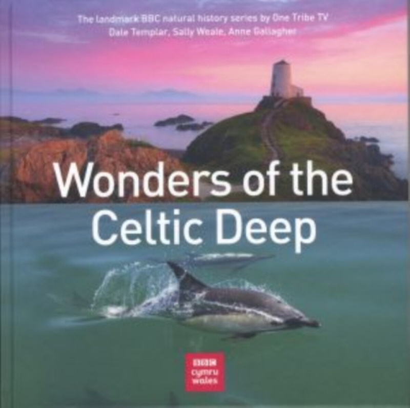 Wonders of the Celtic Deep - Anne Gallagher, Sally Weale, Dale Templar