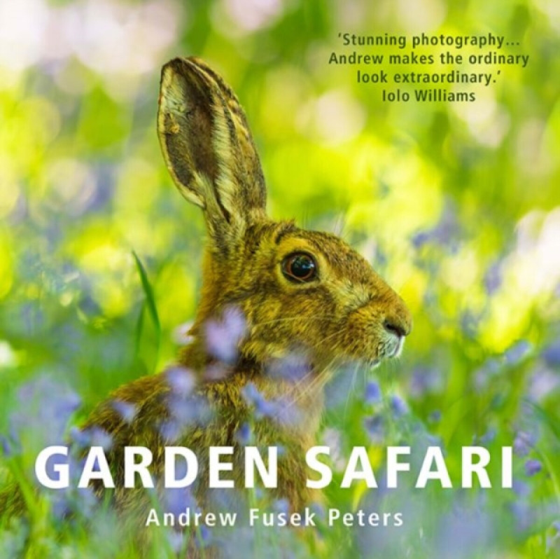 Graffeg Limited Garden Safari - Fusek Peters, Andrew