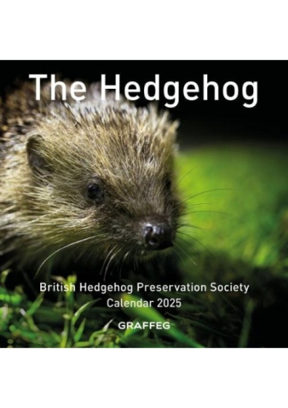 The Hedgehog Calendar 2025 Graffeg Limited