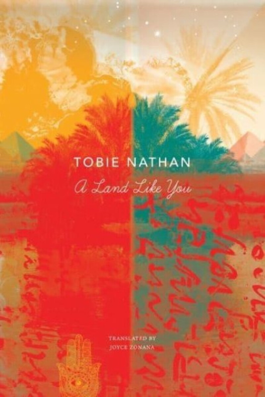 A Land Like You - Tobie Nathan, Joyce Zonana
