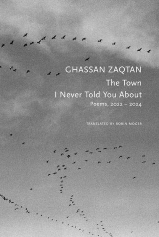 Seagull Books London Ltd Town I Never Told You About - Zaqtan, Ghassan