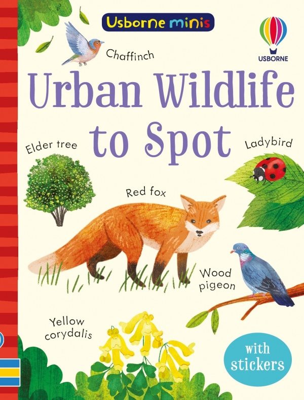 Urban Wildlife to Spot Usborne Publishing