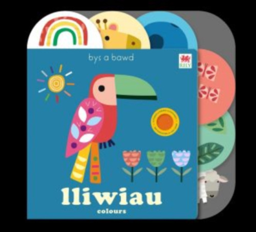 Rily Publications Ltd Cyfres Bys a Bawd: Lliwiau / Colours - books, Really Decent