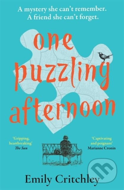 One Puzzling Afternoon - Emily Critchley - kniha z kategorie Detektivky