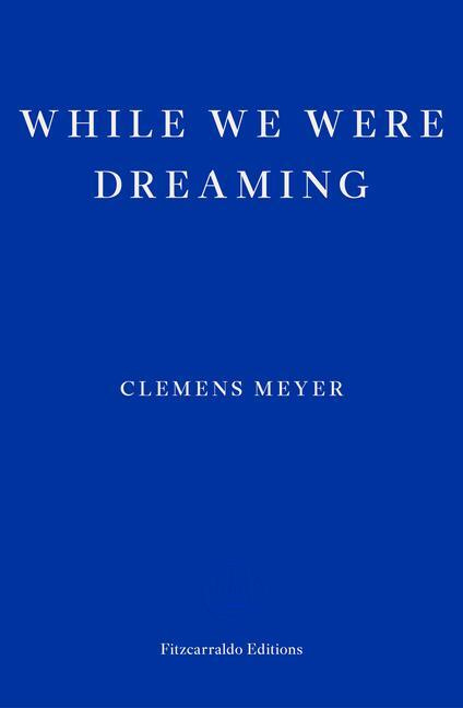 While We Were Dreaming - Clemens Meyer - kniha z kategorie Společenská beletrie