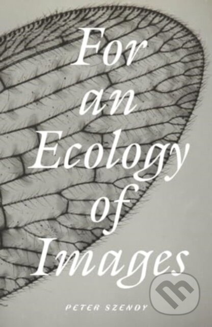 For an Ecology of Images Verso Books