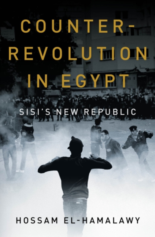 Counterrevolution in Egypt - Hossam el-Hamalawy