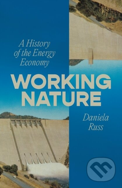 Working Nature (A History of the Energy Economy) - Daniela Russ