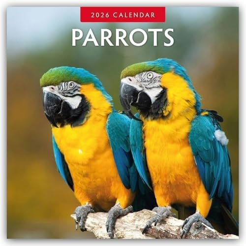 Parrots 2026 Square Wall Calendar Red Robin Publishing Ltd.