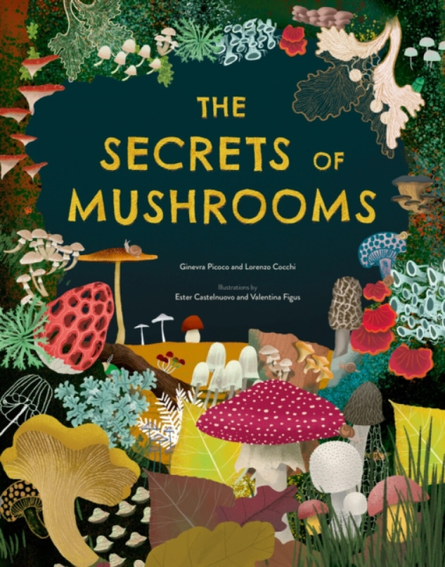 Hachette Children's Group Secrets of Mushrooms - Picoco, Ginevra a Cocchi, Lorenzo