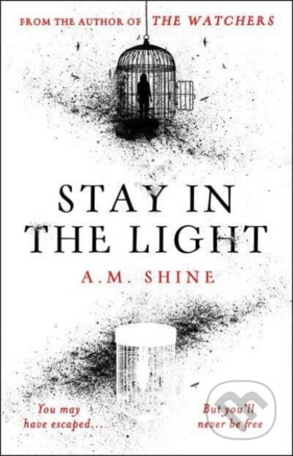 Stay in the Light - A.M. Shine - kniha z kategorie Horory