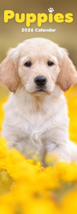Puppies Slim Calendar 2026  Dog Breed Slimline Calendar - 12 Month Avonside Publishing Ltd