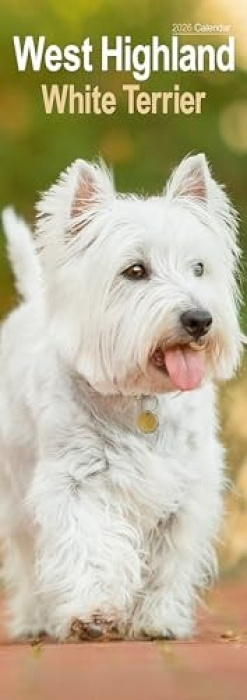 West Highland Terrier Slim Calendar 2026  Dog Breed Slimline Calendar - 12 Month Avonside Publishing Ltd