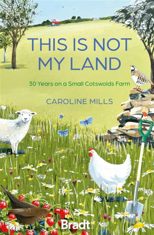 Bradt Travel Guides This is not my land - Mills, Caroline