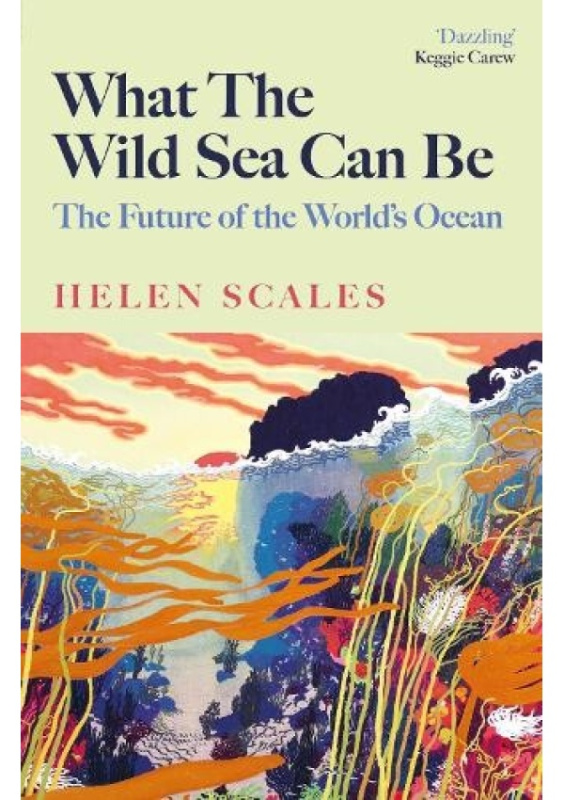What the Wild Sea Can Be, The Future of the World's Ocean Atlantic Books