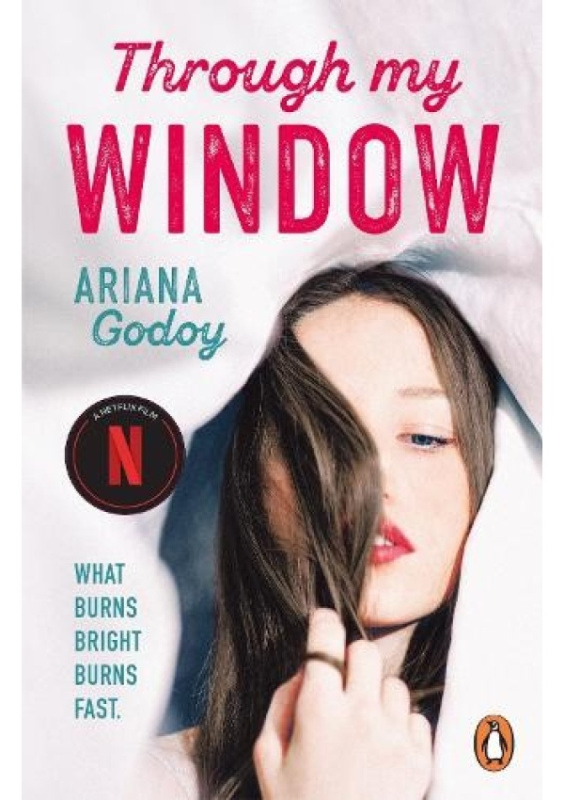 Through My Window - Ariana Godoy - kniha z kategorie Romantika