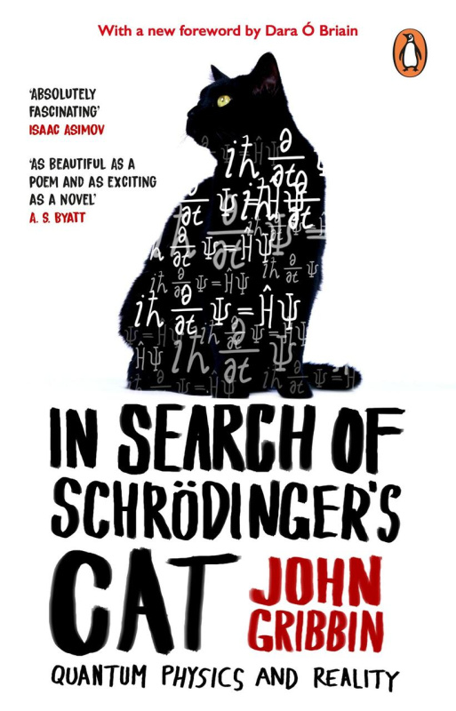 In Search Of Schrodinger's Cat (Updated Edition) - John Gribbin - kniha z kategorie Fyzika