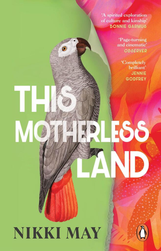 This Motherless Land - Nikki May - kniha z kategorie Společenská beletrie