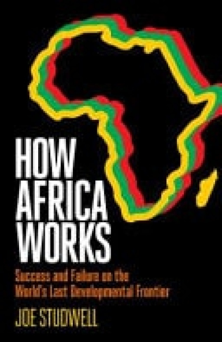 How Africa Works (Success and Failure on the World's Last Developmental Frontier) - kniha z kategorie Odborné a naučné