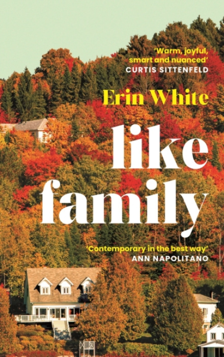 Like Family - Erin White - kniha z kategorie Beletrie