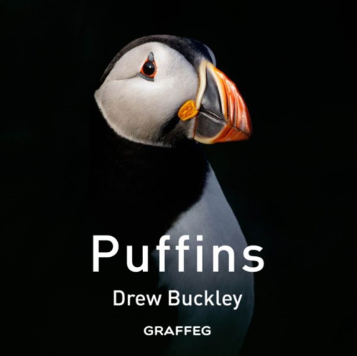 Puffins Graffeg Limited
