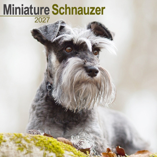Miniature Schnauzer Wall AVONSIDE CALENDARS 2027