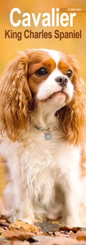 Cavalier King Charles Spaniel Slim CAROUSEL CALENDARS 2027