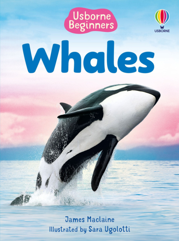 Beginners Whales Usborne Publishing