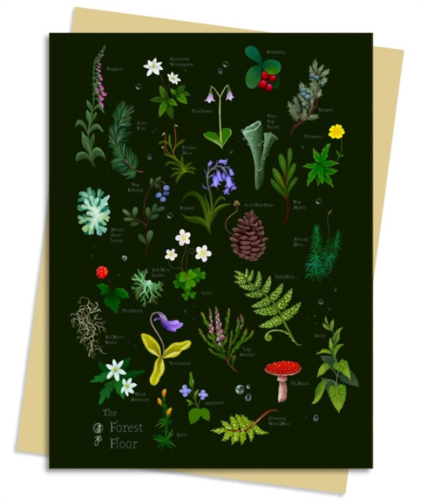 Flame Tree Publishing Anna Stead Forest Floor Greeting Card Pack