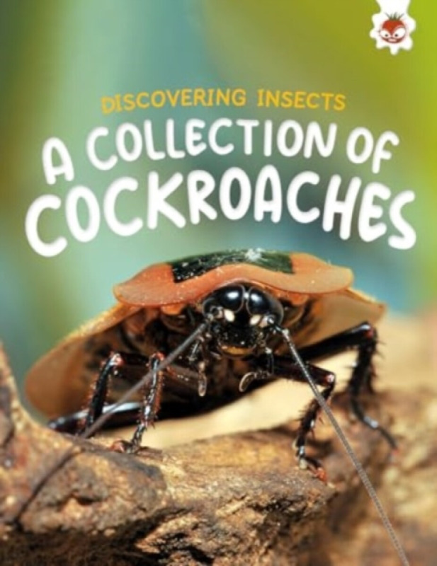 Discovering Insects: A Collection of Cockroaches - Rebecca Storm
