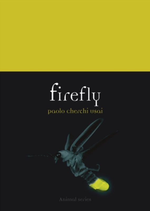 Reaktion Books Firefly - Cherchi Usai, Paolo