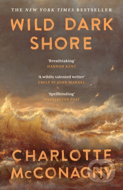 Wild Dark Shore - Charlotte Mcconaghy - kniha z kategorie Thrillery