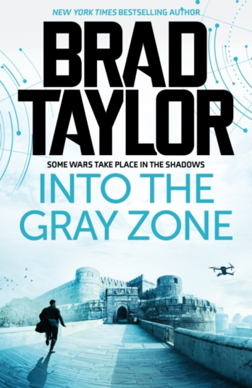 Into the Gray Zone - Brad Taylor