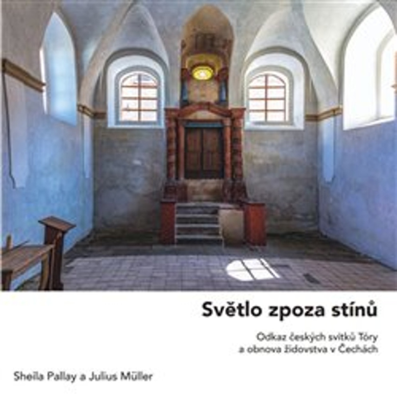 Světlo zpoza stínů - Sheila Pallay, Julius Müller