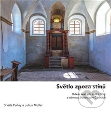 Světlo zpoza stínů - Sheila Pallay, Julius Müller